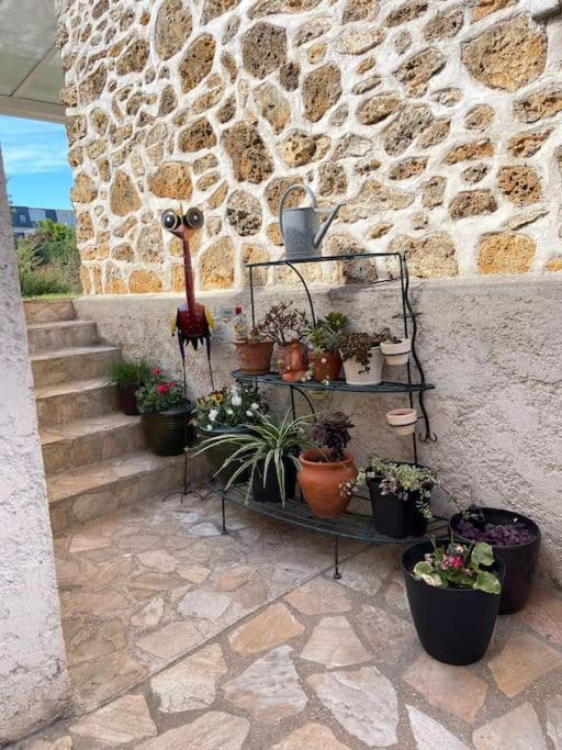 «  La Petite Maison » ....Des Grands Espaces... Сен-Мор-де-Фоссе Екстер'єр фото